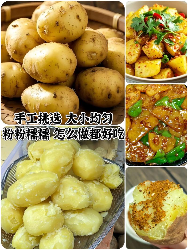 云南2025年土豆价格会涨还是跌?-图1 云南2025年土豆价格会涨还是跌?-图1