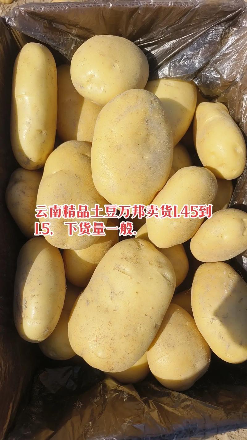 云南2025年土豆价格会涨还是跌？-图3