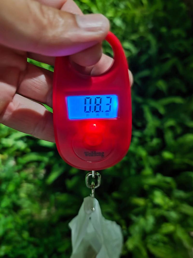 2025年鱿鱼价格为何暴涨？-图1