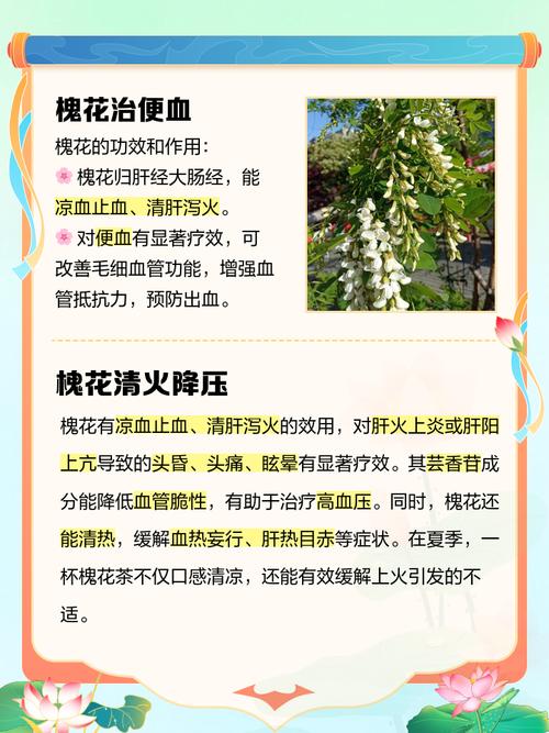 槐花怎么种?关键技术和方法有哪些?-图2 槐花怎么种?关键技术和方法有哪些?-图2