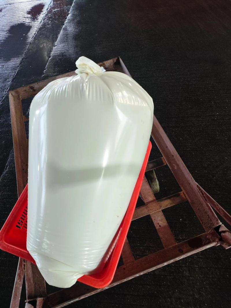 2025年鳗鱼最新价格多少钱一斤？-图2