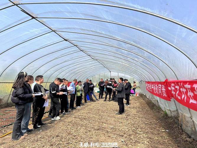 大棚育苗技术培训视频,如何快速掌握关键要点?-图1 大棚育苗技术培训视频,如何快速掌握关键要点?-图1