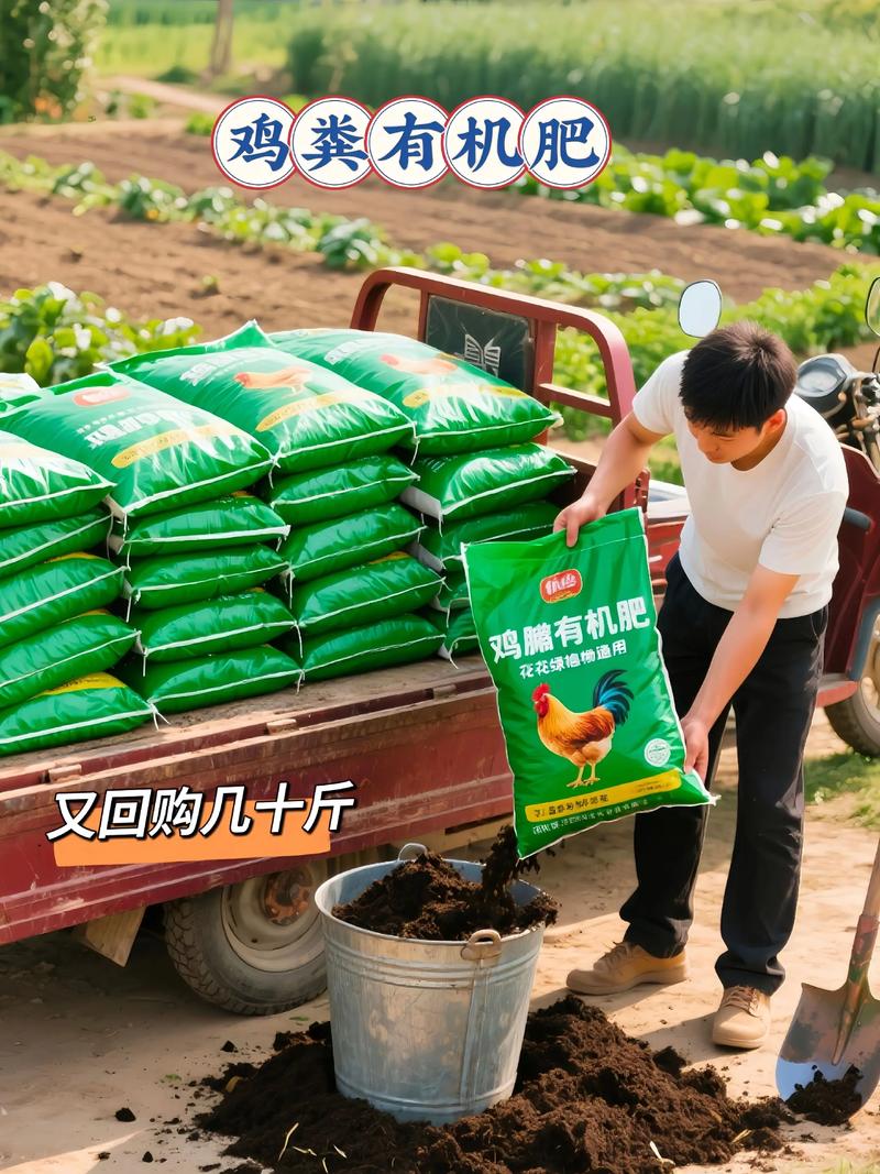 鸡粪发酵豆渣喂鱼,安全高效吗?-图1 鸡粪发酵豆渣喂鱼,安全高效吗?-图1