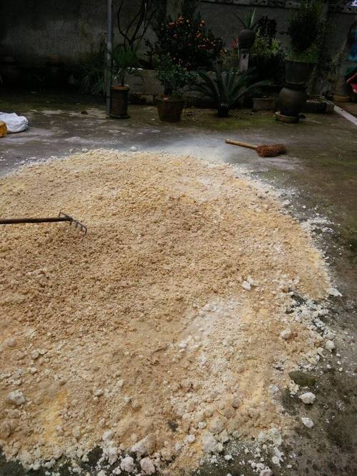 鸡粪发酵豆渣喂鱼,安全高效吗?-图3 鸡粪发酵豆渣喂鱼,安全高效吗?-图3