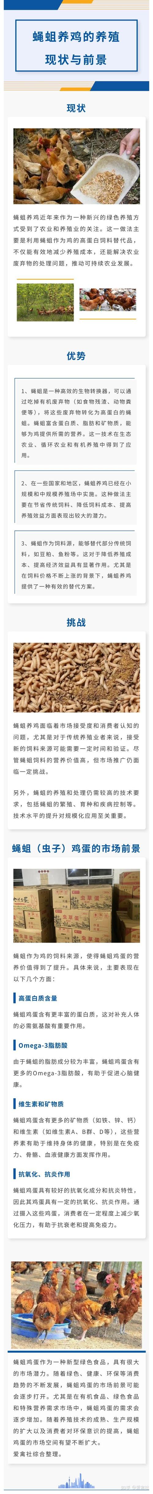 2025年鲜活蝇蛆价格会涨还是跌?-图2 2025年鲜活蝇蛆价格会涨还是跌?-图2