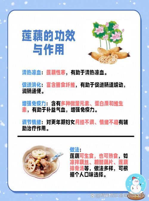 莲藕生病了,咋办?防治技术有哪些?-图2 莲藕生病了,咋办?防治技术有哪些?-图2