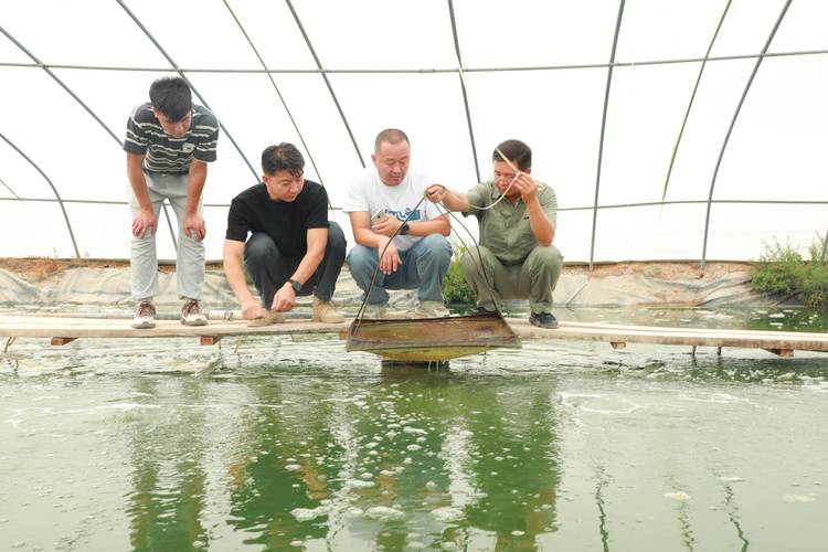 如何系统学习水产养殖技术？-图3