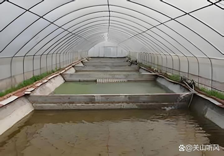 泥鳅黄鳝养殖技术,关键难点在哪?-图3 泥鳅黄鳝养殖技术,关键难点在哪?-图3