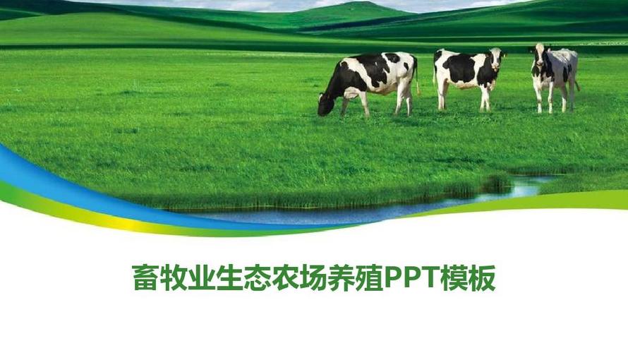 敖汉细毛养殖技术下载哪里找?-图3 敖汉细毛养殖技术下载哪里找?-图3