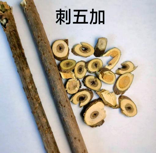北方哪些多年生中药材品种值得种植?-图1 北方哪些多年生中药材品种值得种植?-图1