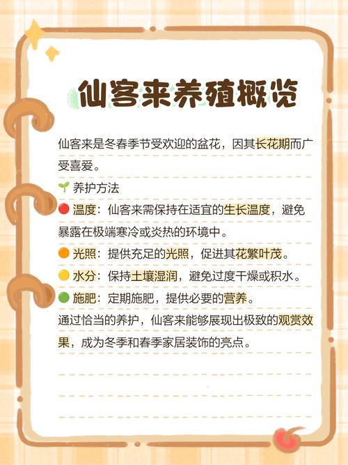 仙客来养护技术有哪些关键要点?-图1 仙客来养护技术有哪些关键要点?-图1