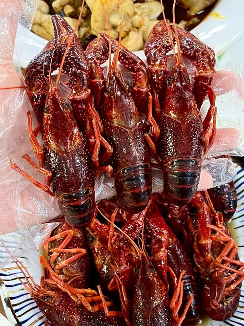 大个淡水小龙虾新品种,个头有多大?-图1 大个淡水小龙虾新品种,个头有多大?-图1