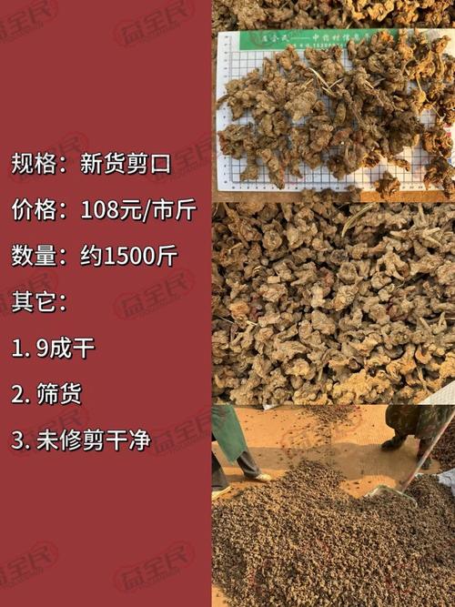 2025年三七价格会涨还是会跌?-图2 2025年三七价格会涨还是会跌?-图2