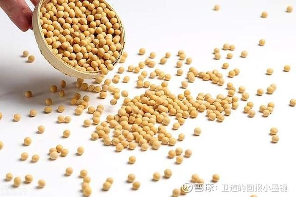 2025年大豆进口价格会涨还是跌?-图1 2025年大豆进口价格会涨还是跌?-图1