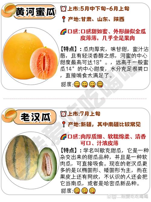 哪种香瓜最甜?品种TOP几?-图3 哪种香瓜最甜?品种TOP几?-图3