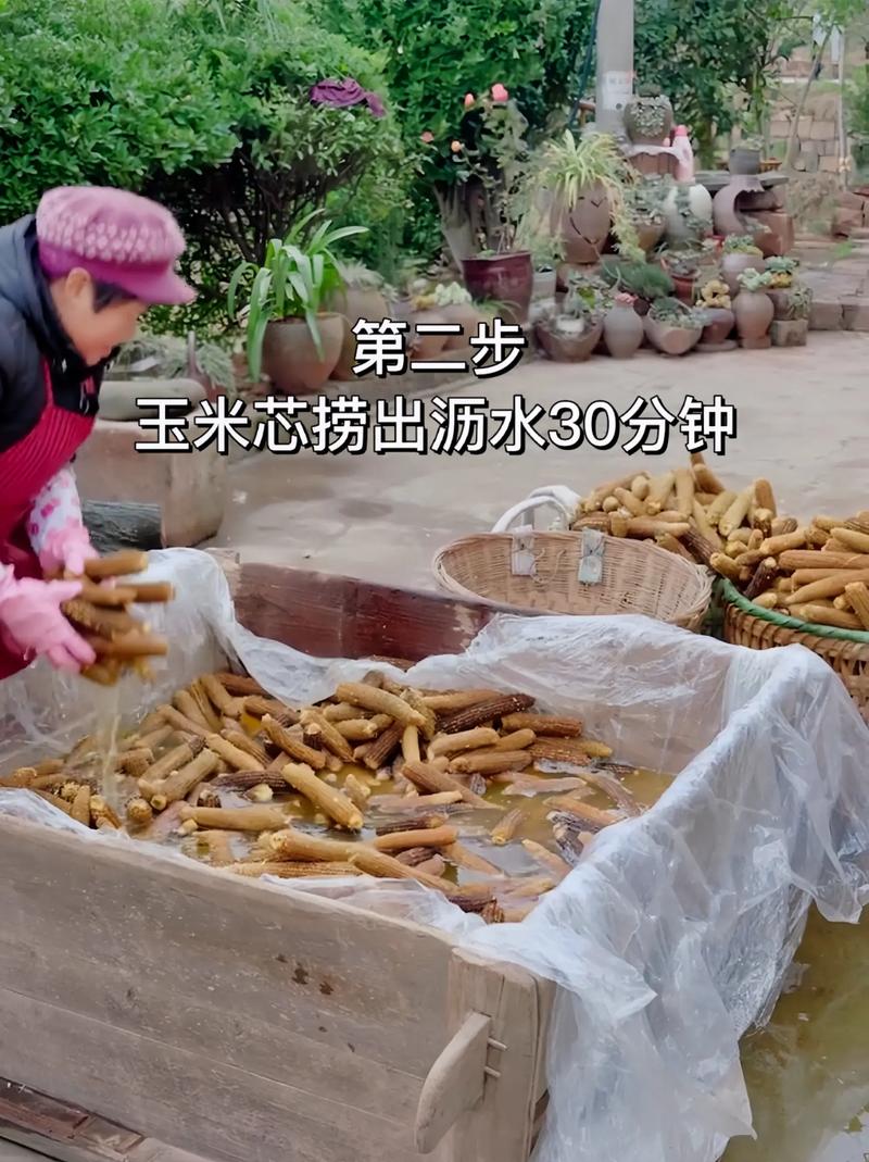 家庭蘑菇栽培视频,技术难点与避坑指南?-图1 家庭蘑菇栽培视频,技术难点与避坑指南?-图1