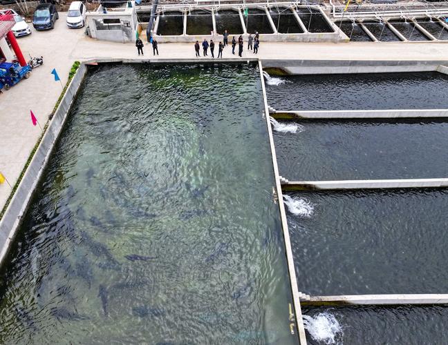 100亩水库养鱼,技术要点有哪些?-图1 100亩水库养鱼,技术要点有哪些?-图1