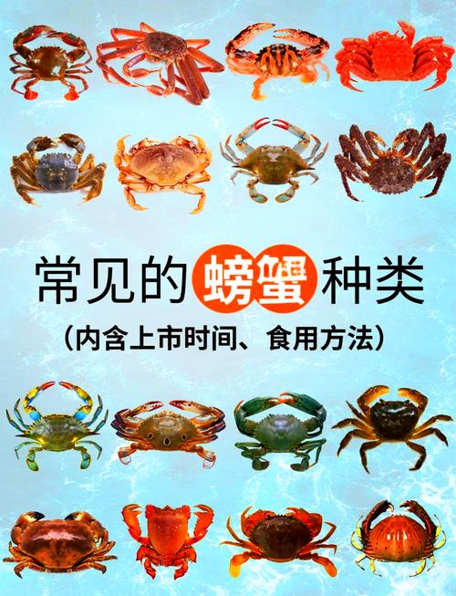 青蟹对虾蛏子混养,如何实现效益最大化?-图2 青蟹对虾蛏子混养,如何实现效益最大化?-图2