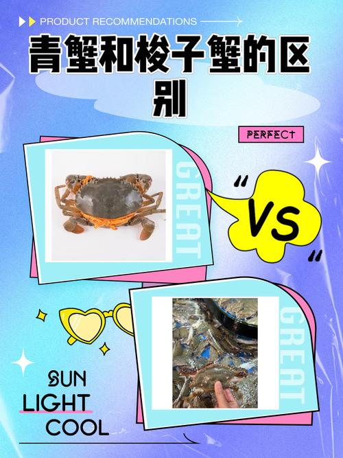 青蟹对虾蛏子混养，如何实现效益最大化？-图3