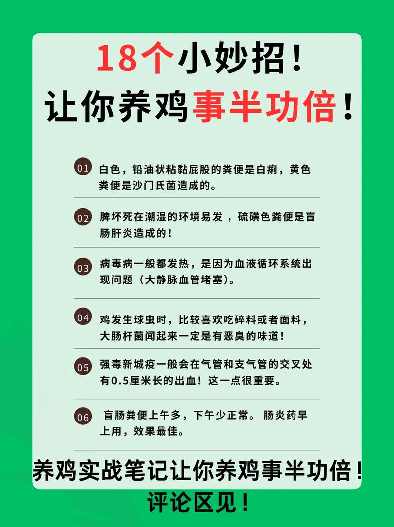养鸡全套技术方法如何系统掌握?-图3 养鸡全套技术方法如何系统掌握?-图3