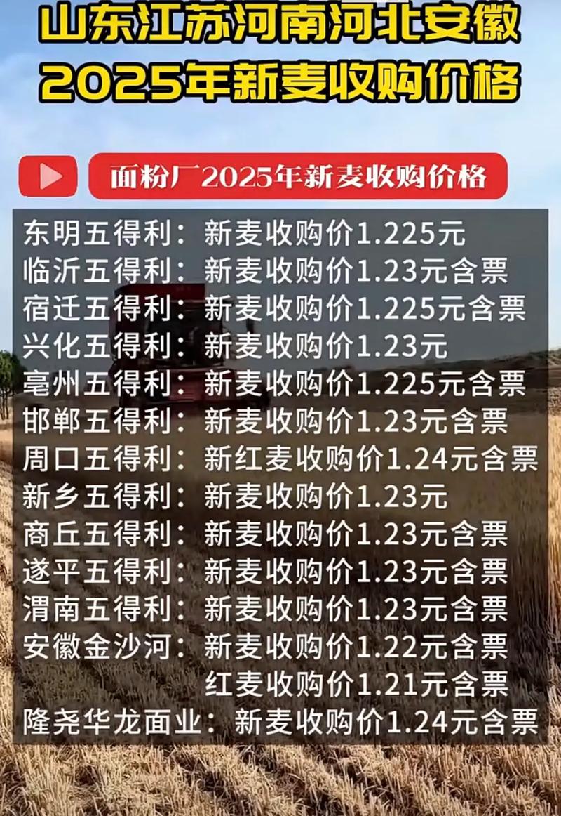 2025年小麦价格会涨还是跌?-图1 2025年小麦价格会涨还是跌?-图1