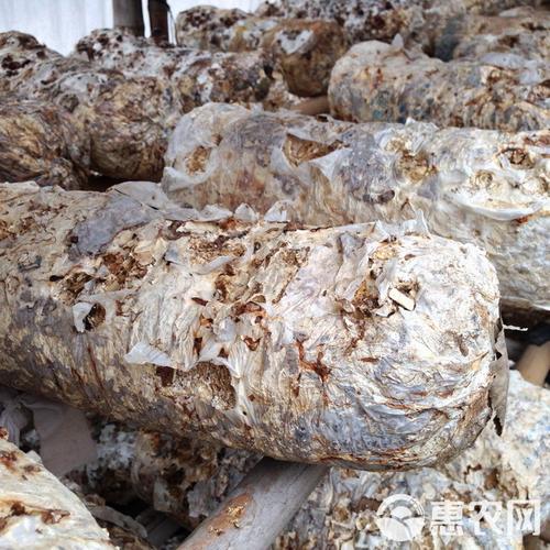 2025废弃香菇棒价格会涨还是跌？-图1