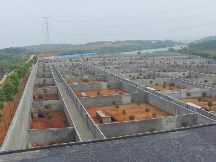 养蛇基地免费学技术,是真的吗?-图2 养蛇基地免费学技术,是真的吗?-图2