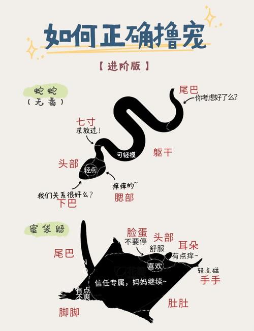 养蛇基地免费学技术,是真的吗?-图3 养蛇基地免费学技术,是真的吗?-图3