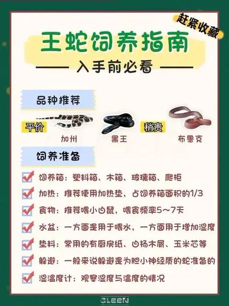养蛇基地免费学技术,是真的吗?-图1 养蛇基地免费学技术,是真的吗?-图1