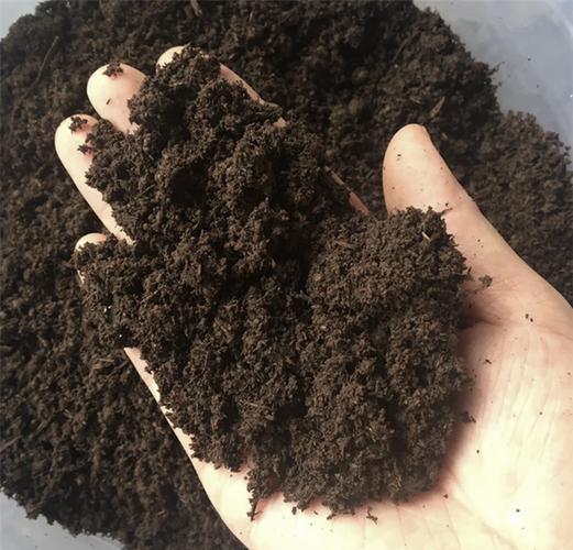 鸡粪养蚯蚓视频，技术要点有哪些？-图1