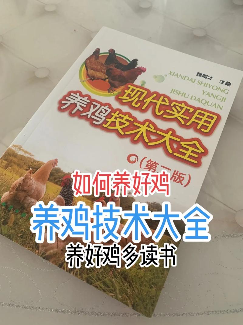 育雏鸡的饲养管理技术-图3