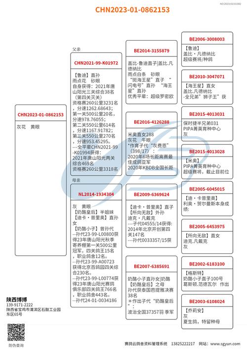 2025年养殖肉鸽价格会涨还是会跌？-图3