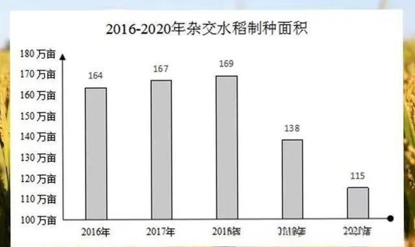 2025黒水稻价格会涨还是跌?-图1 2025黒水稻价格会涨还是跌?-图1