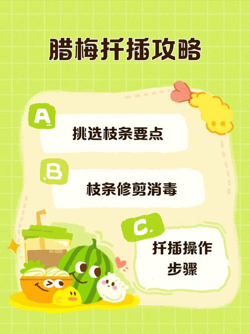 腊梅扦插视频教程，新手能学会吗？-图3