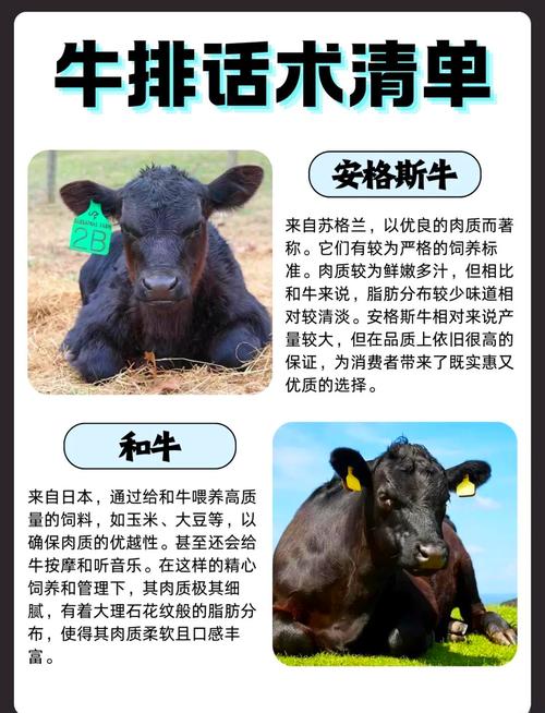 如何选对好品种？-图2