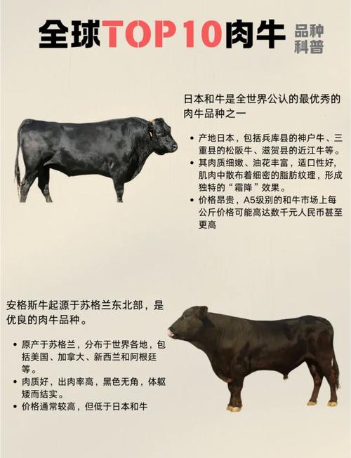 如何选对好品种？-图3