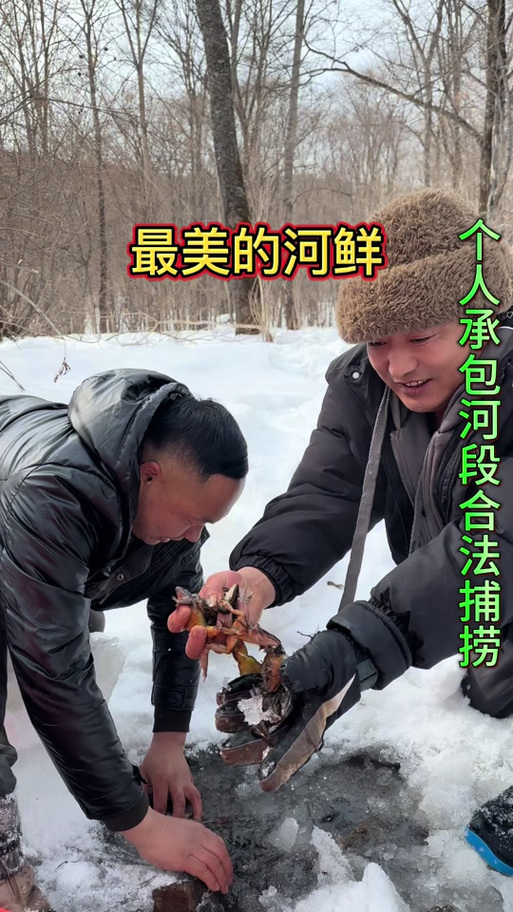 野生林蛙怎么养殖技术-图2