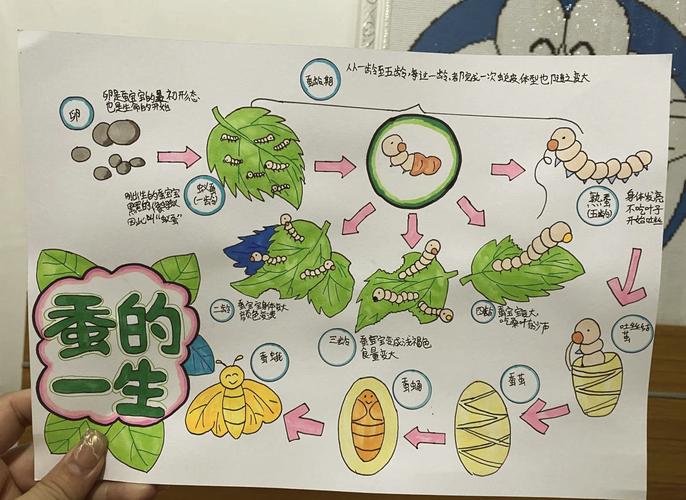 家蚕的饲养技术与管理-图1