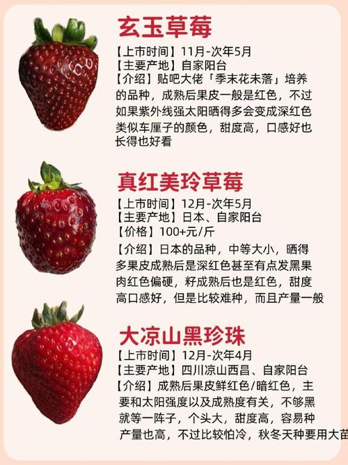 草莓一年结几次果品种-图3 草莓一年结几次果品种-图3
