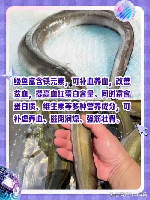 2025年海南鳗鱼价格-图2