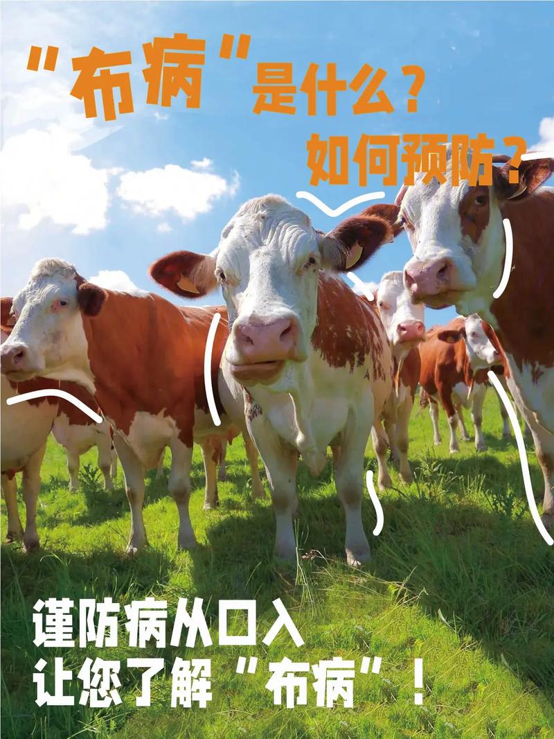 牛养殖技术疾病的预防-图1 牛养殖技术疾病的预防-图1