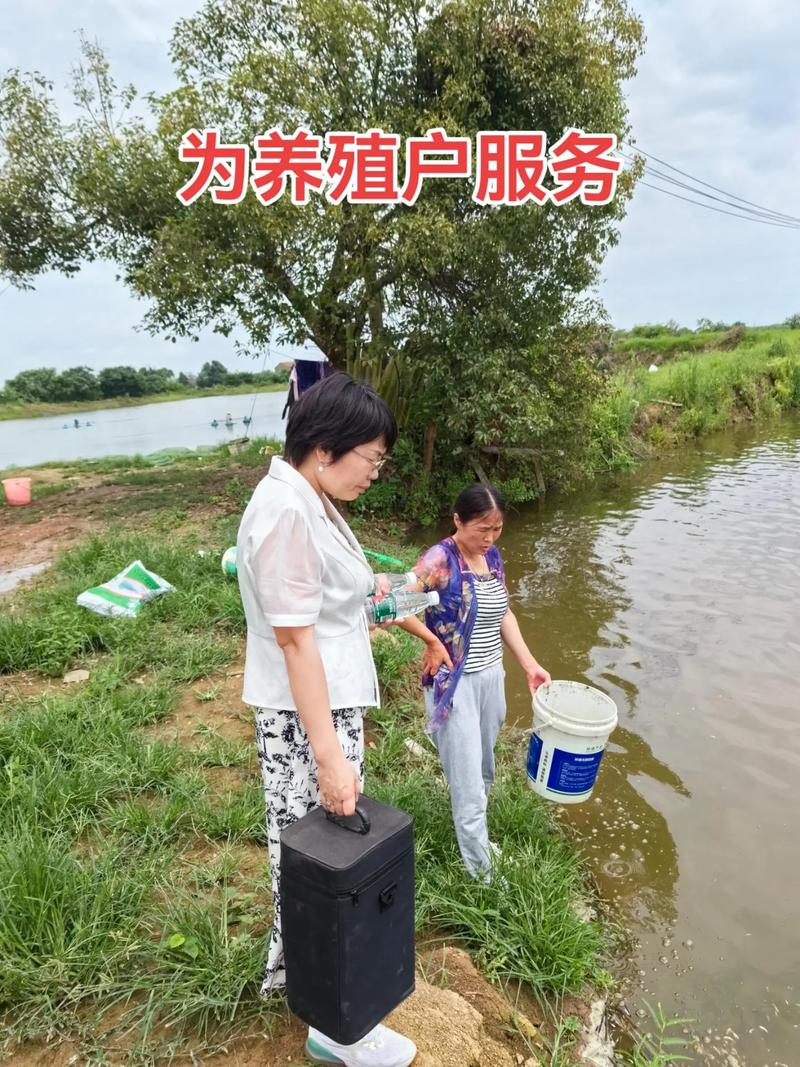 鳜鱼养殖技术视频教程怎么学?-图3 鳜鱼养殖技术视频教程怎么学?-图3