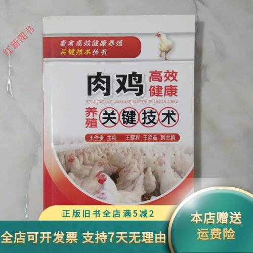 肉鸡高效饲养的关键技术有哪些？-图1