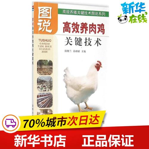 肉鸡高效饲养的关键技术有哪些？-图2