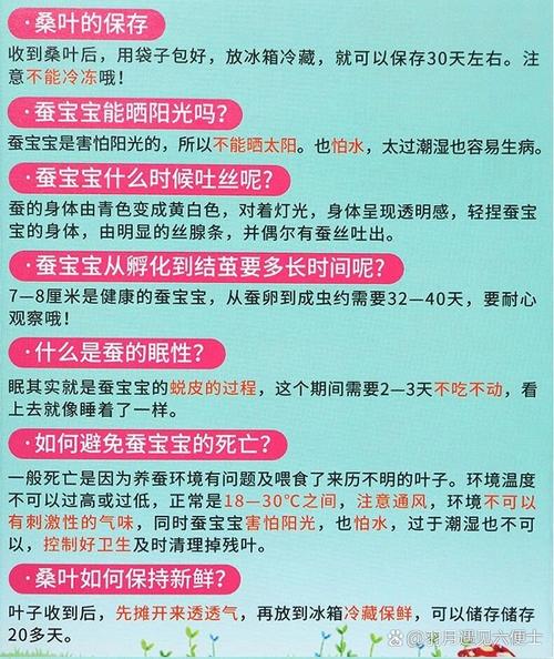 桑蚕养殖技术视频教程-图1 桑蚕养殖技术视频教程-图1
