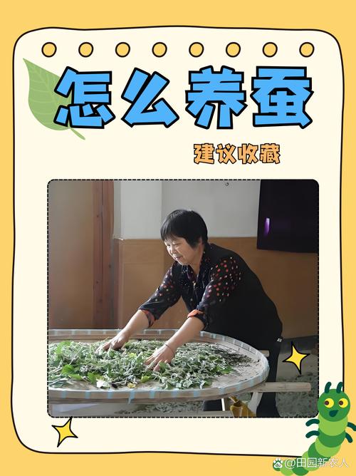 桑蚕养殖技术视频教程-图2 桑蚕养殖技术视频教程-图2