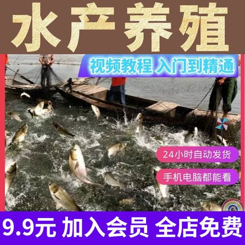 养殖鲫鱼技术视频教程-图1 养殖鲫鱼技术视频教程-图1