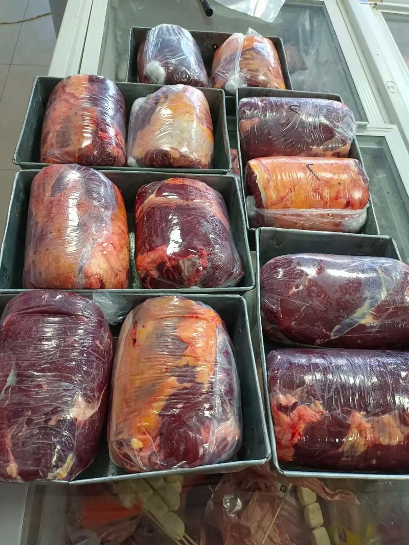 内蒙古牛的品种有哪些?-图2 内蒙古牛的品种有哪些?-图2