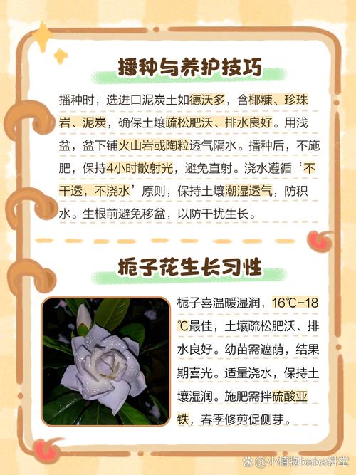 栀子花怎么培育新品种-图1