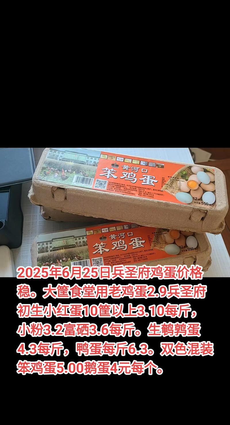 大连鸡蛋价格 2025-图1 大连鸡蛋价格 2025-图1
